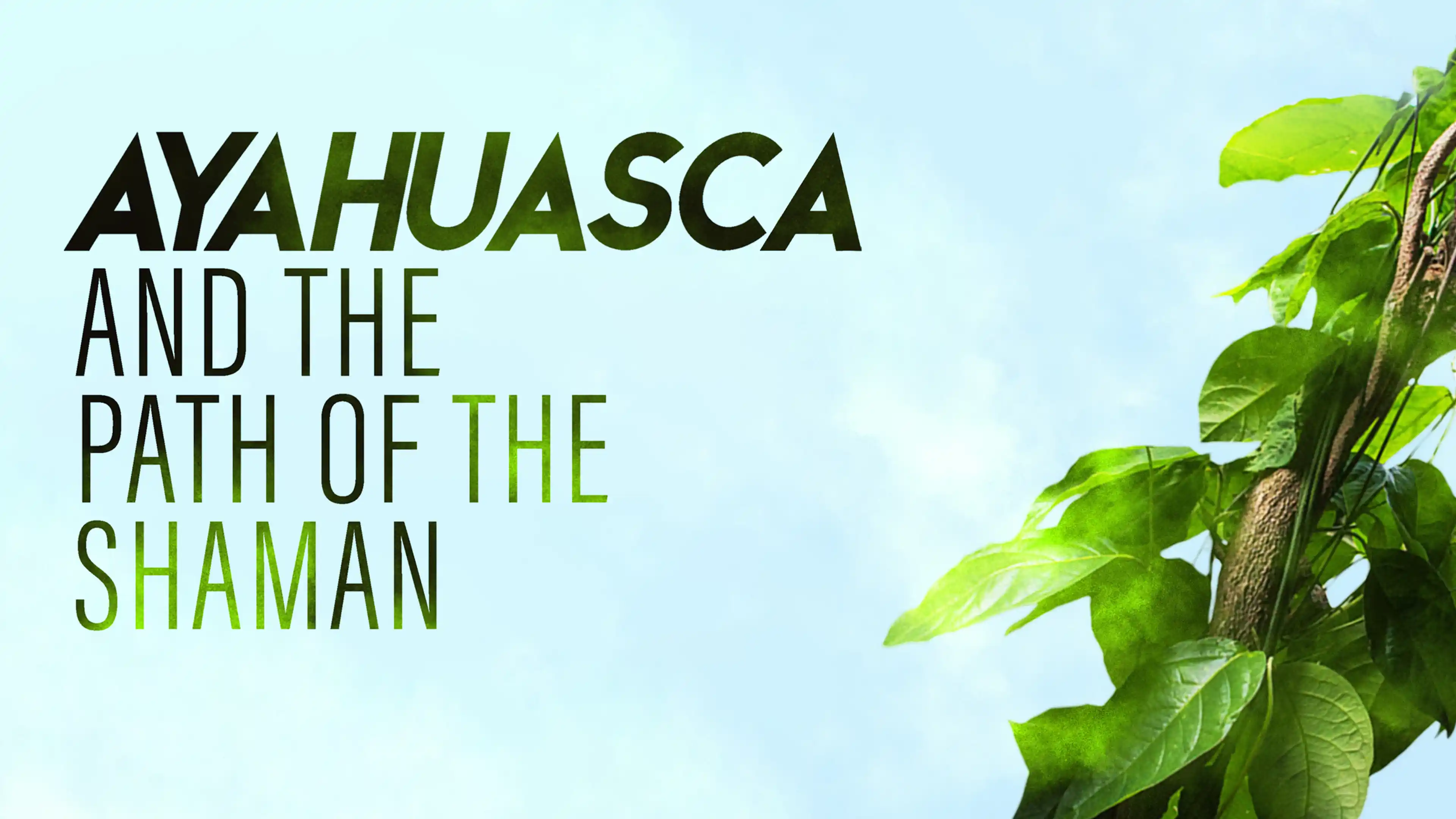 Ayahuasca-and-The-Path-of-the-Shaman-landscape